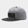 Kšiltovka Puma Flatbrim Cap Šedá
