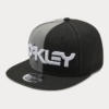 Kšiltovka Oakley 5 Panel B1B Hat Barevná
