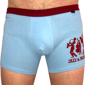 Pánské boxerky Andrie světle modré (PS 5170 B) XXL Možnost vrácení zboží do 120 dnů!⭐