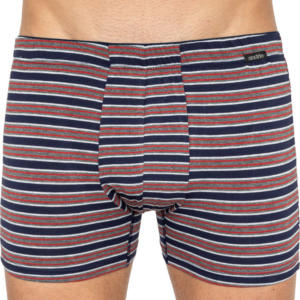 Pánské boxerky Andrie vícebarevné (PS 5434 A) 3XL Možnost vrácení zboží do 120 dnů!⭐