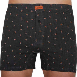 Pánské trenky Lama vícebarevné (M-898 BX) L Možnost vrácení zboží do 120 dnů!⭐