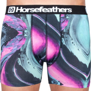 Pánské boxerky Horsefeathers Sidney galaxy (AM070I) M Možnost vrácení zboží do 120 dnů!⭐