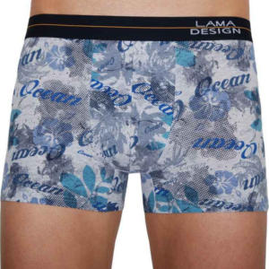 Pánské boxerky Lama vícebarevné (M-901 SZG) L Možnost vrácení zboží do 120 dnů!⭐