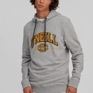 Surf State Mikina O'Neill Šedá