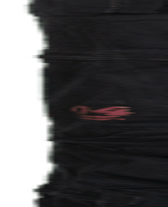 Surplus Kalhoty Infantry Cargo černé S