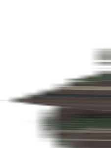 Brandit Kalhoty M65 Vintage Trouser woodland 7XL